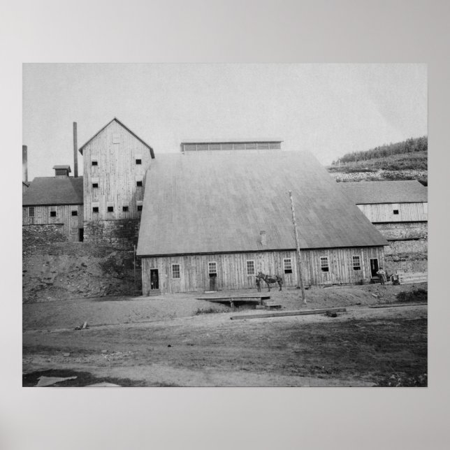 Fotografie zur Reduzierung von Todesholz Poster (Vorne)