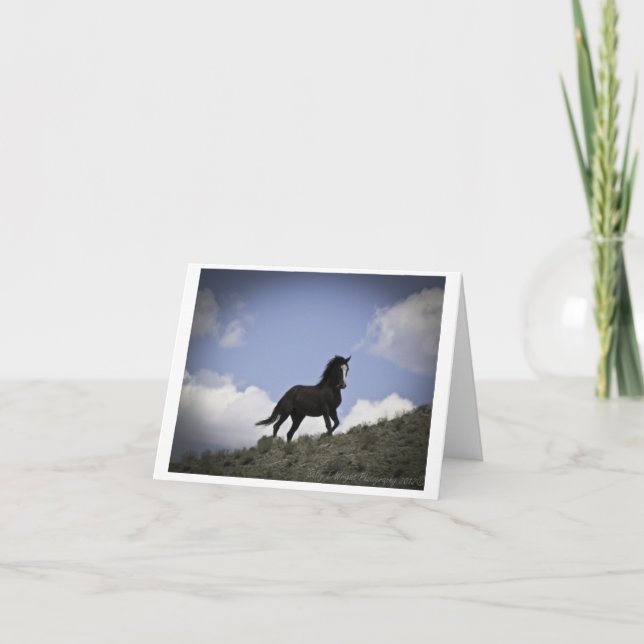 Fotografiekarte für Wild Pferde Karte (Vorderseite)