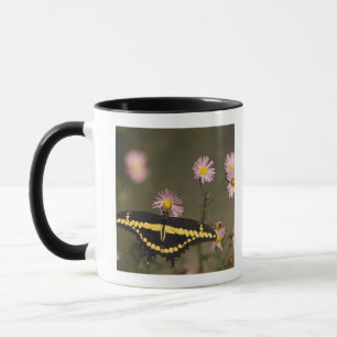 Fotografiert an einem sonnigen Tag mit gefiltertem Tasse