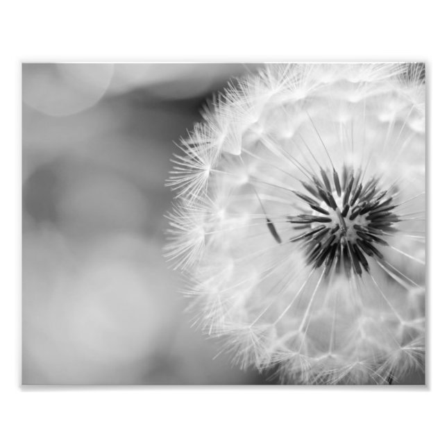 Fotografischer Lüster Fotodruck (Vorne)
