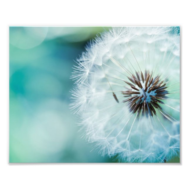 Fotografischer Lüster Fotodruck (Vorne)