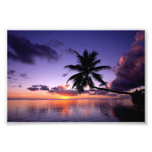 Fotografischer Print-Tropical Sunset Fotodruck