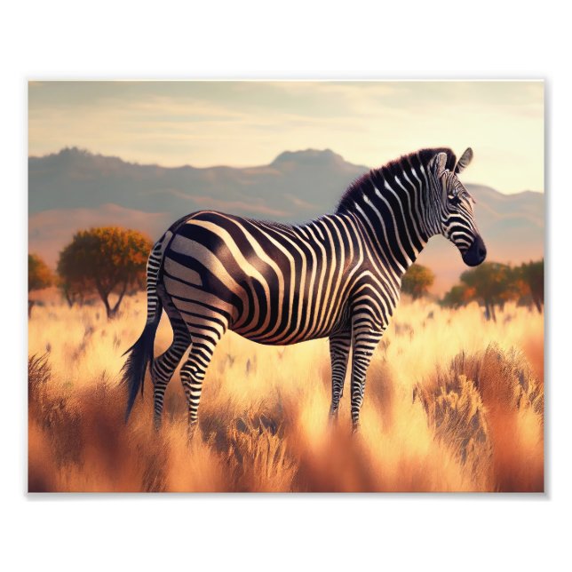 Fotografisches Print-Zebra Fotodruck (Vorne)