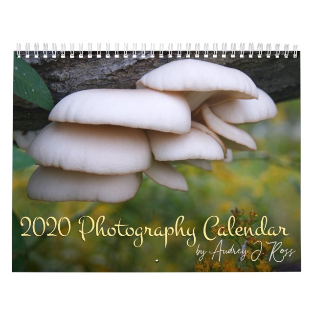 Fotokalender 2020 kalender (Titelbild)