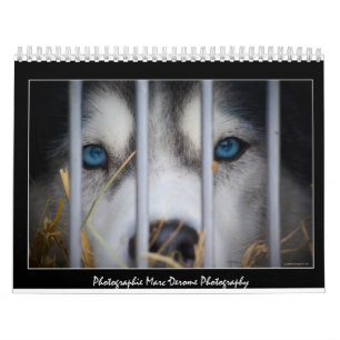 Fotokalender Kalender