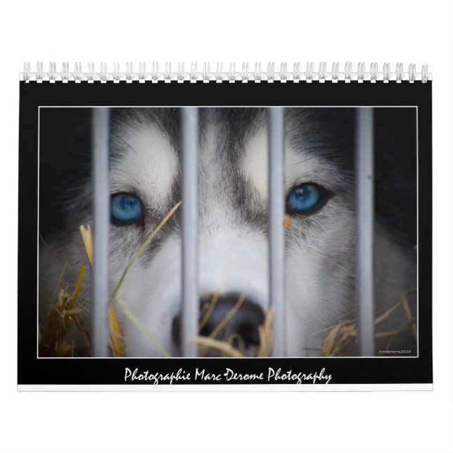 Fotokalender Kalender (Titelbild)