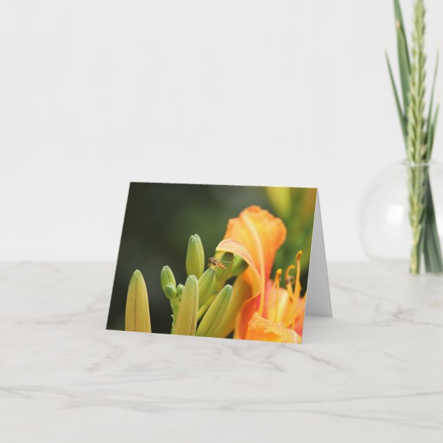 Fotokarte, auf Orangenlilie Einladung (Vorderseite)