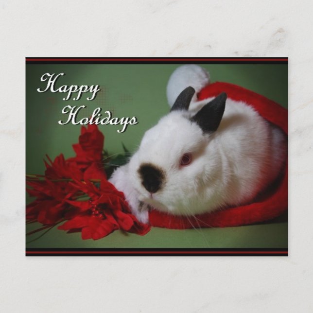 Fotokarte "Bunny Christmas" Feiertagspostkarte (Vorderseite)