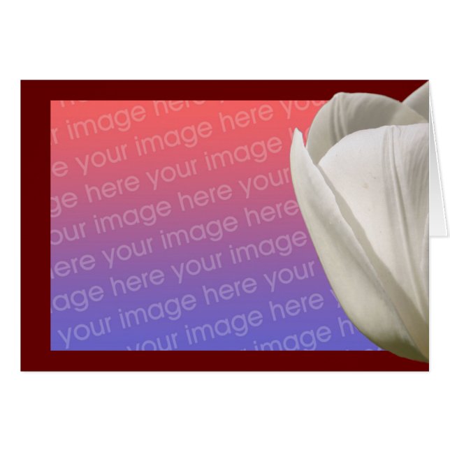 Fotokarte der Blume White Tulip (Vorderseite (Horizontal))