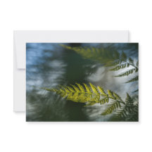 Fotokarten für die Natur