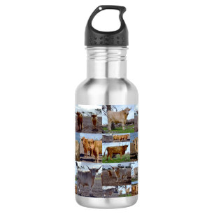 Fotomaterial von Kühen aus Hochland, Wasserflasche