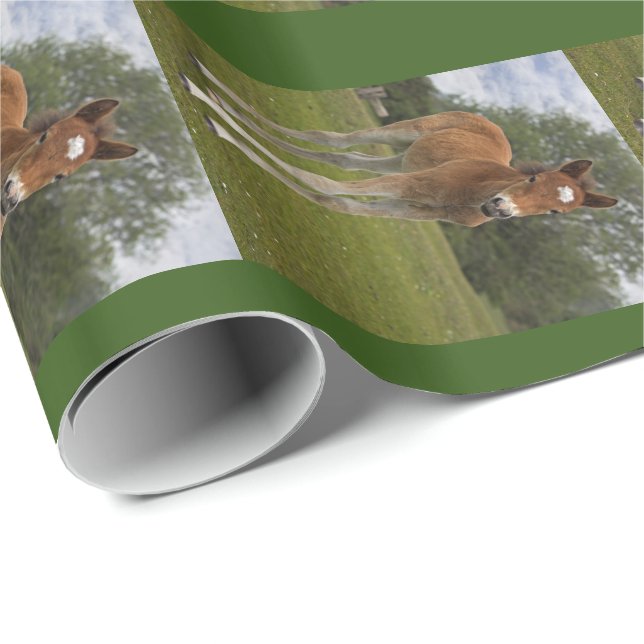 Fotopapier Geschenkpapier (Rolleneckpunkt)