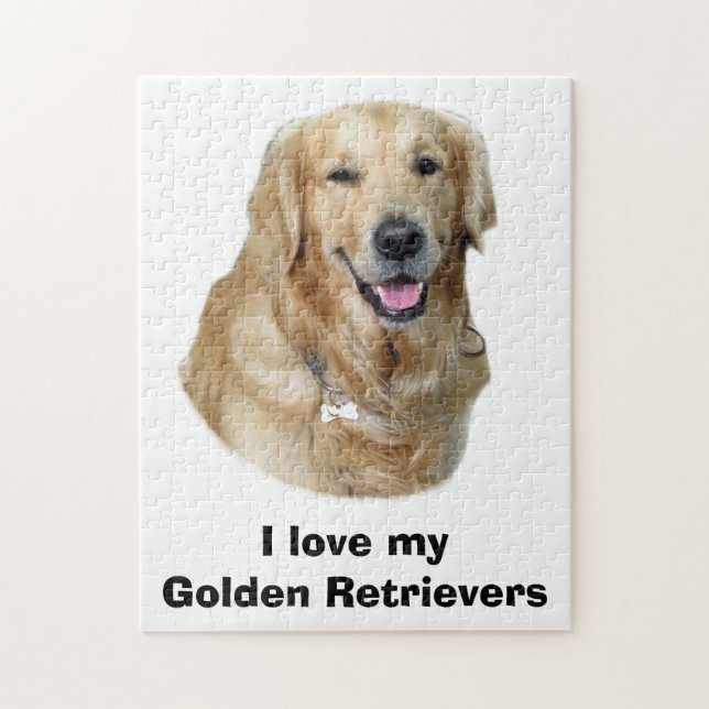 Fotoporträt des goldenen Retrievers Hunde (Vertikal)