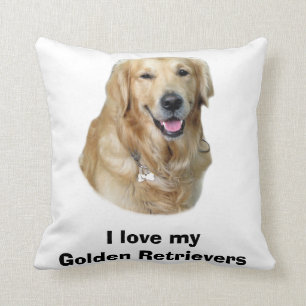 Fotoporträt des goldenen Retrievers Hunde Kissen