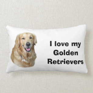 Fotoporträt des goldenen Retrievers Hunde Lendenkissen