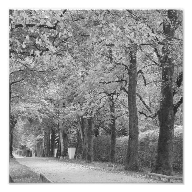 Fotoprint "Archway" Fotodruck (Vorne)