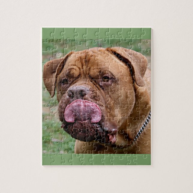 Fotopuzzlespiel Dogue de Bordeaux 8x10 (Vertikal)