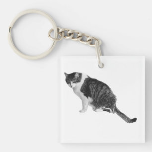Fotorealistisches Katzen-Schlüsselanhänger verleih Schlüsselanhänger