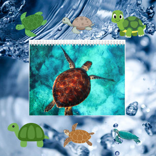 Fotos von Meeresschildkröten und Landschildkröten, Kalender