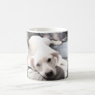 Fotos von Niedlichem Weißen Hund, die mit Vater C Kaffeetasse