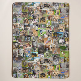 Fotosammlung von Hunden, Sherpadecke