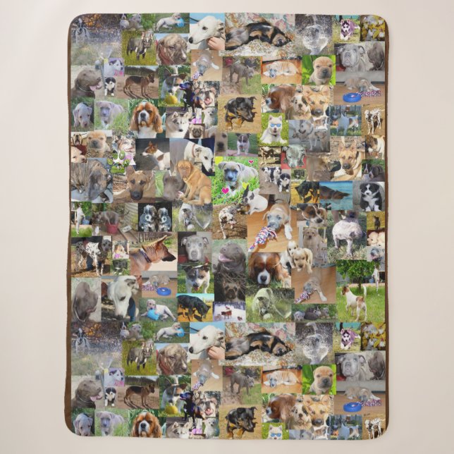 Fotosammlung von Hunden, Sherpadecke (Vorderseite)