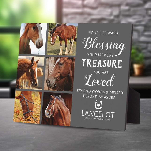 Fotosammlung zu Pferden Fotoplatte (Von Creator hochgeladen)