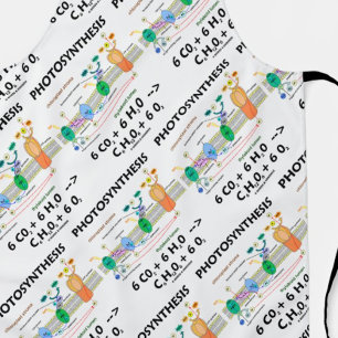 Fotosynthese Chloroplast Chemische Formel Schürze