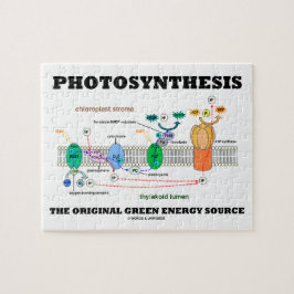 Fotosynthese die ursprüngliche grüne