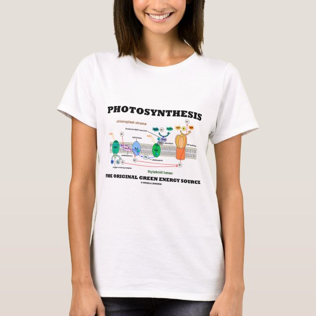 Fotosynthese die ursprüngliche grüne T-Shirt (Vorderseite)