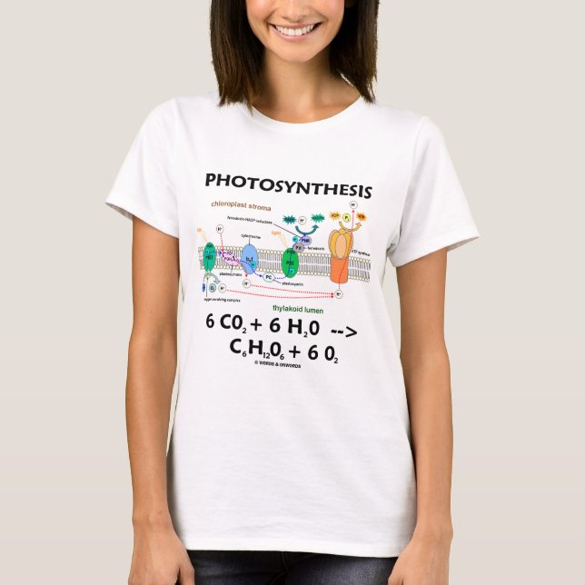 Fotosynthese (Kohlendioxyd + Wasser) T-Shirt (Vorderseite)