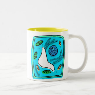 Fotosynthese-Tasse Zweifarbige Tasse
