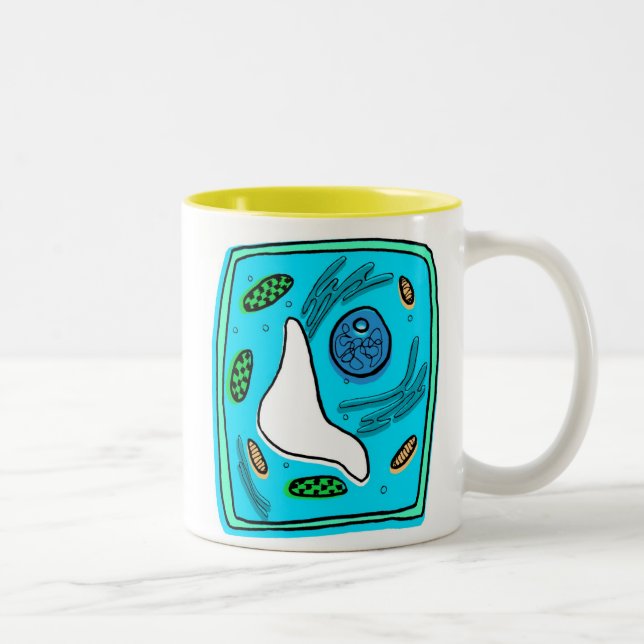 Fotosynthese-Tasse Zweifarbige Tasse (Rechts)