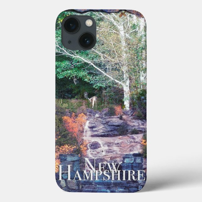 Fotoszenografisches New Hampshire Case-Mate iPhone Hülle (Rückseite)
