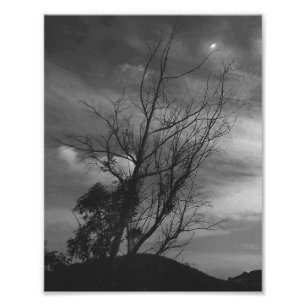 Fotovergrößerung Fotodruck