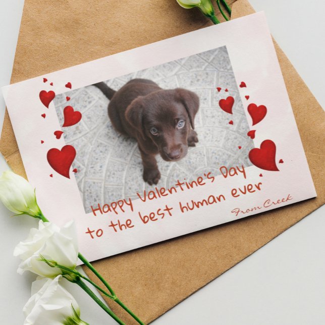 Fotovorlage für Haustiere Valentine's Day Customiz Karte (Von Creator hochgeladen)