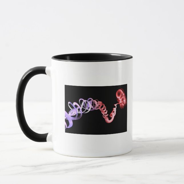 Fötus mit einer Nabelschnur gemacht von Tasse (Links)