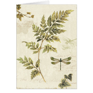 Fougères décoratives et une libellule