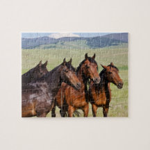 Four Beautiful Horses - Pic Jigsaw Puzzle