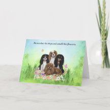 Four Cavalier King Charles Spaniels in Blume