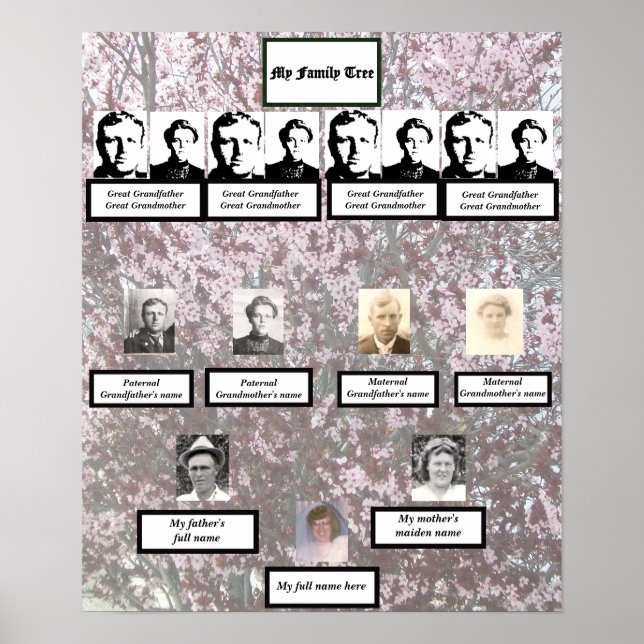 Four Generation Plum Blossom Family Tree Poster (Vorne)
