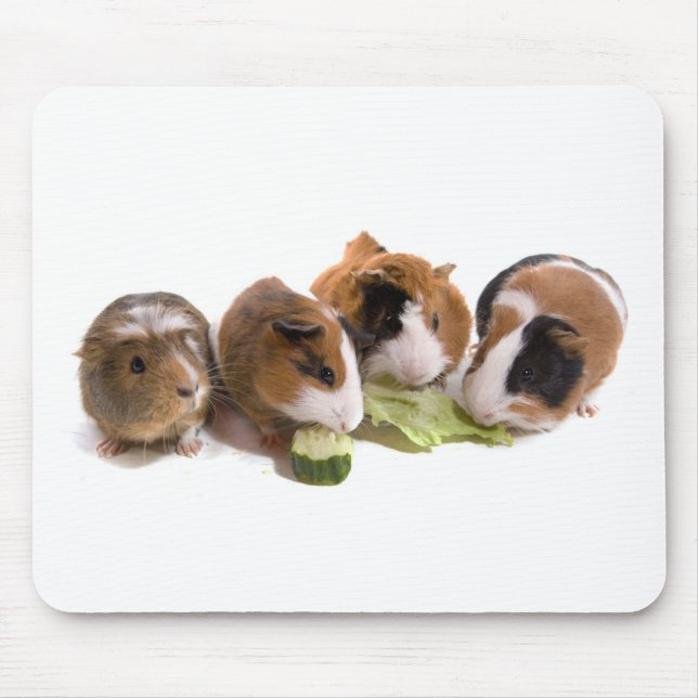 four guinea pigs who eat, mousepad (Vorne)