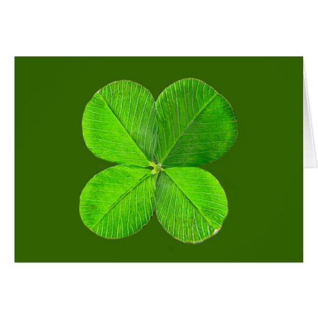 Four Leaf Clover Le MUSÉE Zazzle Cadeaux (Devant horizontal)
