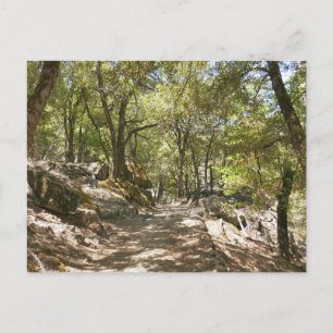 Four Mile Trail Postkarte