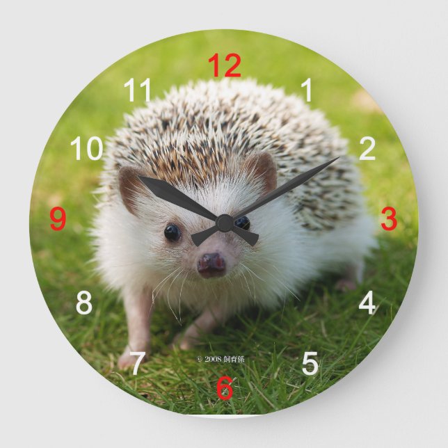 “Four-toed hedgehog”の壁掛け時計,No.01 Große Wanduhr (Vorderseite)