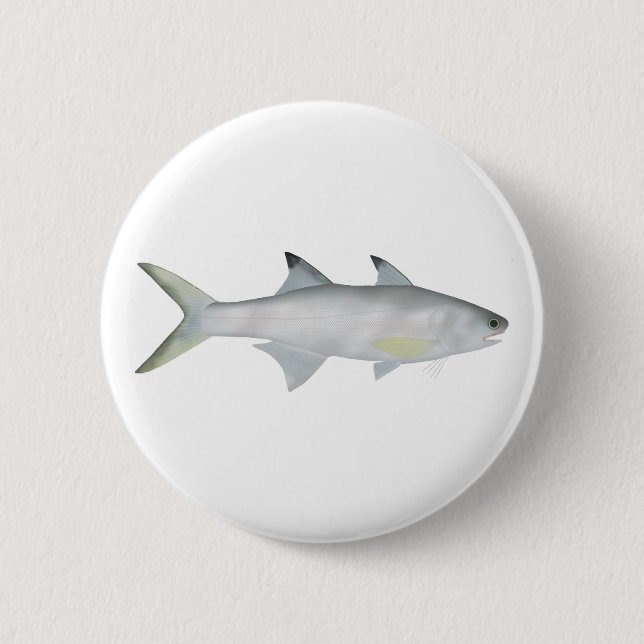 Fourfinger Threadfin Button (Vorderseite)