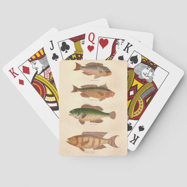 FourFish Spielkarten (Rückseite)