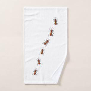 Fourmis Rouges Rampant Dans Votre Maison