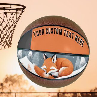 Fox Asleep in Snow Winter Wildnis Natur Basketball