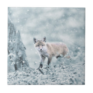 Fox CUB im Schnee Fliese